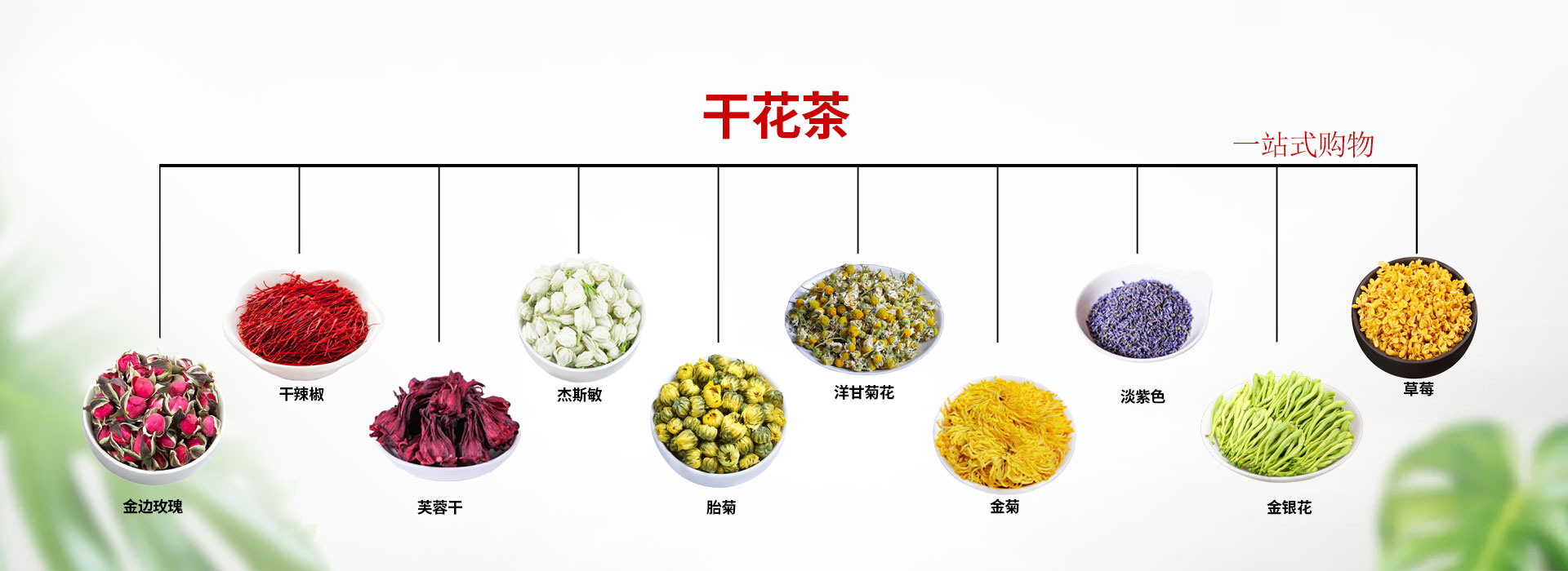 電腦幻燈片二