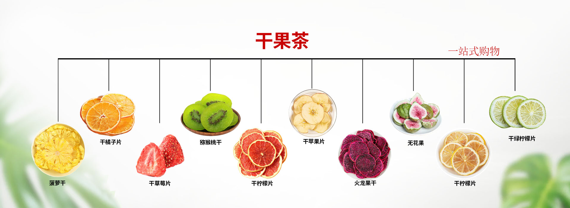 電腦幻燈片三
